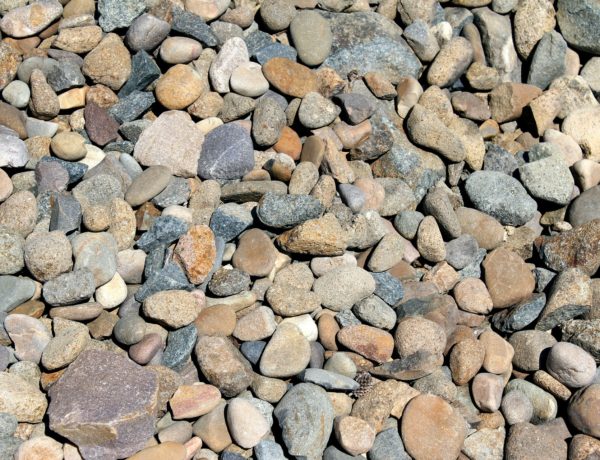 Rock mulch: why you shouldn't choose it and what you should do instead